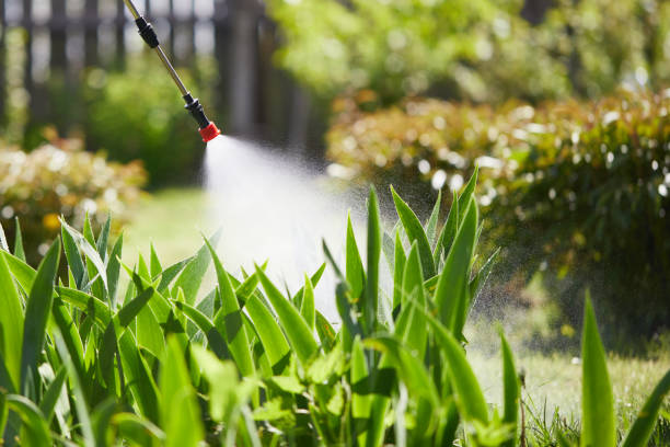 Tamper-Resistant Bait Stations for Rodents in Hampton Bays